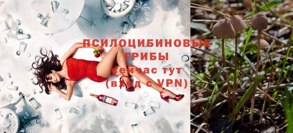 а пвп мука Белокуриха