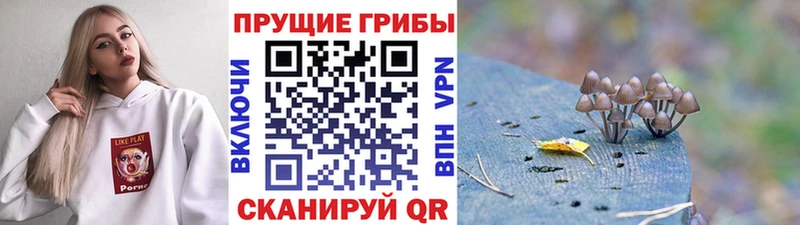 Псилоцибиновые грибы GOLDEN TEACHER  Вуктыл 
